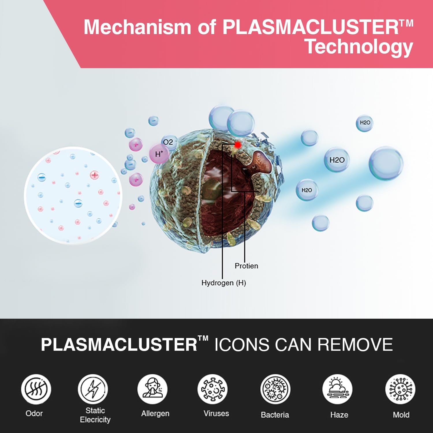 Sharp Air Purifier for Home & Office with Plasmacluster (Removes Bacteria, Virus, Mold, VOCs I JAPAN TECHNOLOGY I Traps 99.97% Pollutants I HEPA, Carbon & Pre Filter I 250 sq.ft. (White)